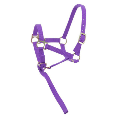Nylon halster veulen Nylon halster veulen