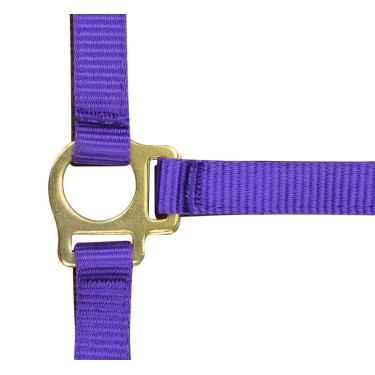 Nylon halster veulen Nylon halster veulen