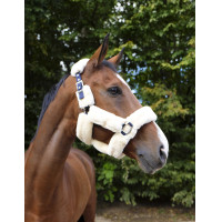 Licol Equithème Teddy Marine / écru Bleu