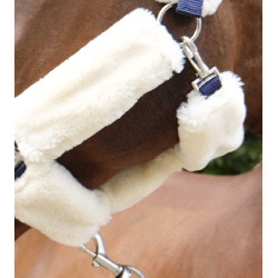 Halster Equithème Teddy Marine / écru → Marine / ecru Blauw