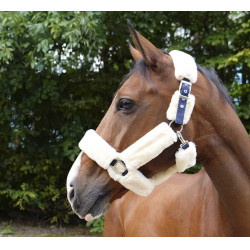 Halster Equithème Teddy Marine / écru → Marine / ecru Blauw