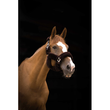 Licol Equithème Teddy Noir / marron Licol Equithème Teddy Noir / marron