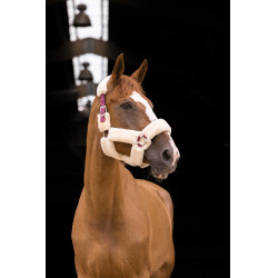 Halster Equithème Teddy Bordeaux / écru