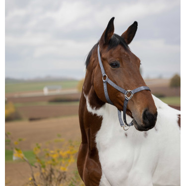 Halster Equithème Nylon Donkergrijs