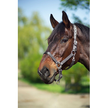Licol Equithème Nylon Gris foncé Licol Equithème Nylon Gris foncé