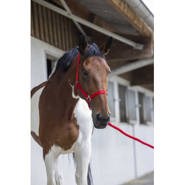 Halster- en leidlijnset Club Rood Halster- en leidlijnset Club Rood