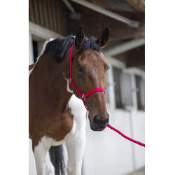 Ensemble licol et longe Club Fuchsia Rose