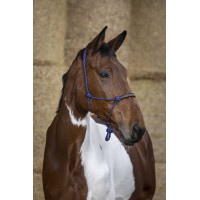 Licol éthologique Norton corde/synthétique Bleu roi Licol éthologique Norton corde/synthétique Bleu roi