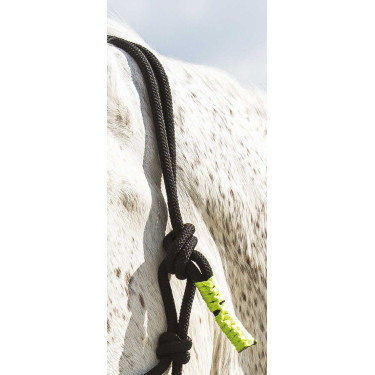 ETHOLOGISCHE HALSTER + FUN COLOUR LIJN Neon groen ETHOLOGISCHE HALSTER + FUN COLOUR LIJN Neon groen