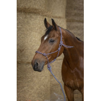 Ethologisch halster Norton + leadrope Eco Zwart / wit / zilver