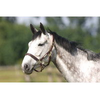 Halster Excelsior met dubbele verstelling Havana Bruin