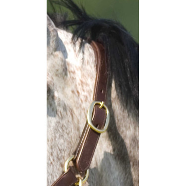 Halster Excelsior met dubbele verstelling Halster Excelsior met dubbele verstelling