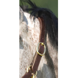 Licol Excelsior à double régLage Havane Marron