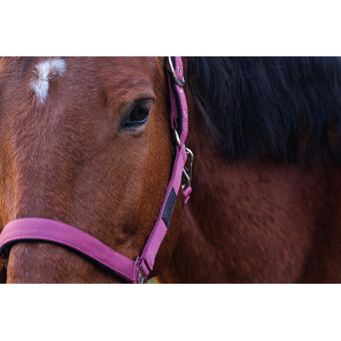 Licol Nylon Spring Equithème Rose Licol Nylon Spring Equithème Rose