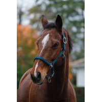 Licol Nylon Spring Equithème Vert foncé