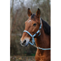 Nylon Halster Spring Equithème Turkoois