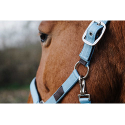 Licol Nylon Spring Equithème Turquoise Bleu