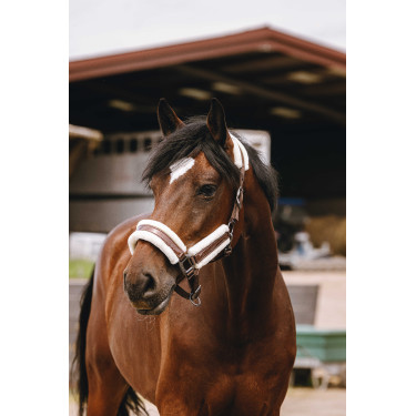 Licol nylon Equithème Fashion Marron