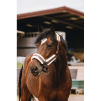 Nylon halster Equithème Fashion Bruin