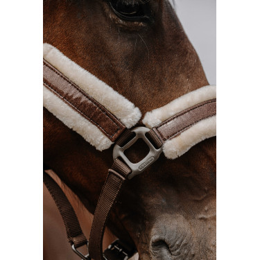 Licol nylon Equithème Fashion Marron
