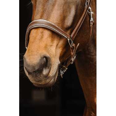 Leren halster Norton Rock Havana Bruin