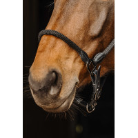 Leren/touw halster Norton Zwart Leren/touw halster Norton Zwart