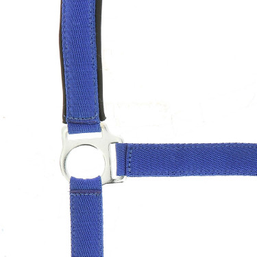 Licol Norton nylon doublé néoprène Bleu roi