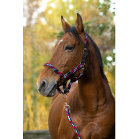 Licol + longe Equitheme Tressé Fuchsia / bleu ciel / marine