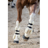 Guêtres Norton XTR à boutons mouton synthétique Bleu marine