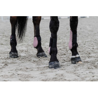 Equithème gaiters Zwart