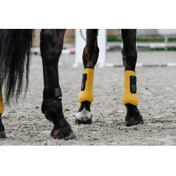 Equithème gaiters Equithème gaiters