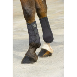 Guêtres Norton Elastiques Noir Guêtres Norton Elastiques Noir