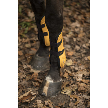 Set beenkappen en kogelbeschermers Lami-Cell LC Honing / goudkleurig Geel Set beenkappen en kogelbeschermers Lami-Cell LC Honing / goudkleurig Geel