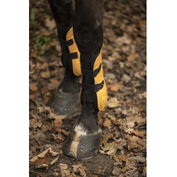 Set beenkappen en kogelbeschermers Lami-Cell LC Honing / goudkleurig Geel