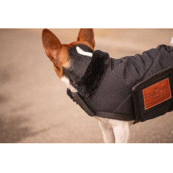 Couverture pour chien Diagonal Paddock Sports Noir