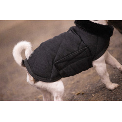 Couverture pour chien Diagonal Paddock Sports Noir