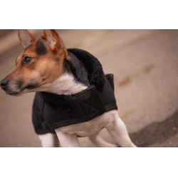 Couverture pour chien Diagonal Paddock Sports Noir