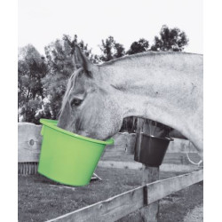 Mangeoire Happy - Anse/Crochets Horizont Vert