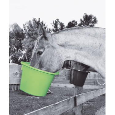 Mangeoire Happy - Anse/Crochets Horizont Vert