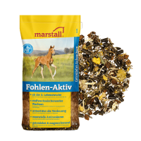 Fohlen-Aktiv Marstall 20kg Fohlen-Aktiv Marstall 20kg
