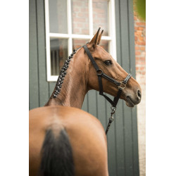 Halster + halstertouw Lami-Cell Classical Halster + halstertouw Lami-Cell Classical