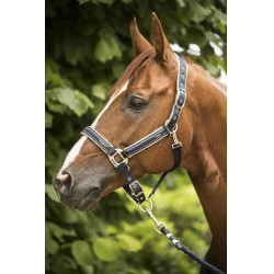 Licol Lami-Cell Elegance Marine / champagne Bleu