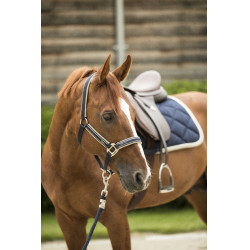 Licol Lami-Cell Elegance Marine / champagne Bleu