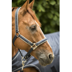 Licol Lami-Cell Elegance Marine / champagne Bleu