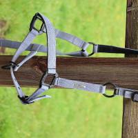 Licol Lami-Cell Midnight Bleu ardoise