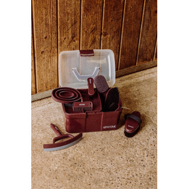 Brosse douce Hippotonic Glitter Bordeaux