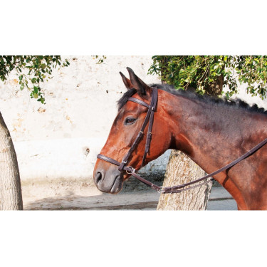 Bridon Bitless T van T Donker Havana Bruin