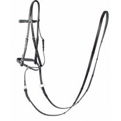 Bridon Bitless T van T Bridon Bitless T van T