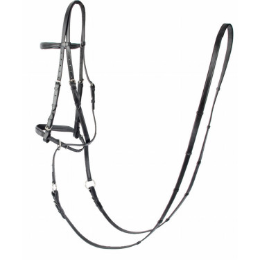 Bridon Bitless T van T Bridon Bitless T van T