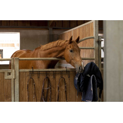 Hippotonic hoofdstelhanger 6 plaatsen, met haken Zwart Hippotonic hoofdstelhanger 6 plaatsen, met haken Zwart